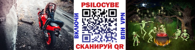 что такое   Великий Новгород  гидра зеркало  Галлюциногенные грибы Magic Shrooms 