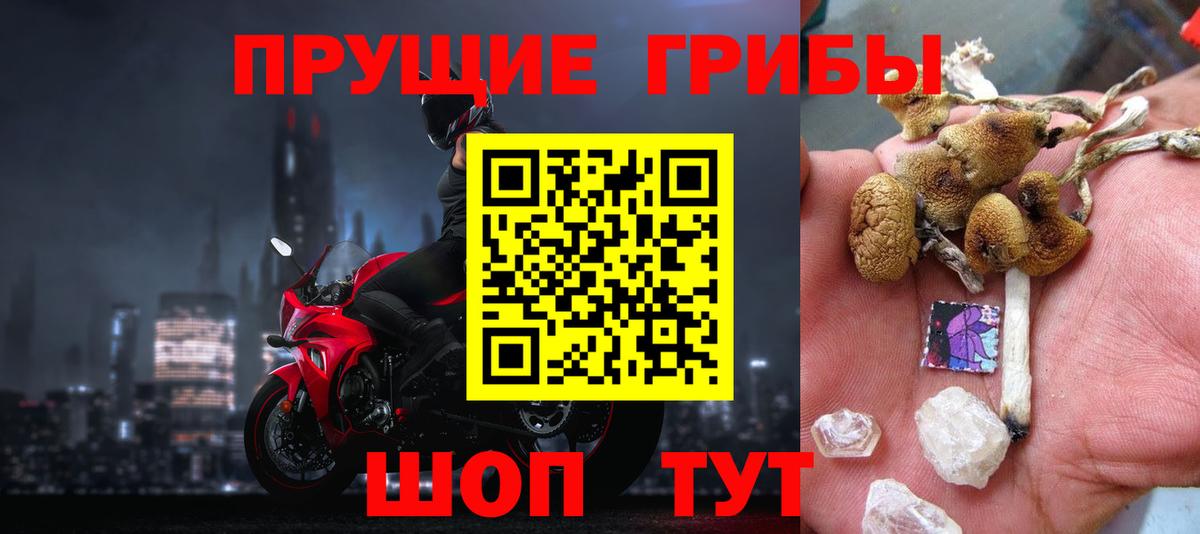 Псилоцибиновые грибы Psilocybe  Вход с VPN  Великий Новгород 