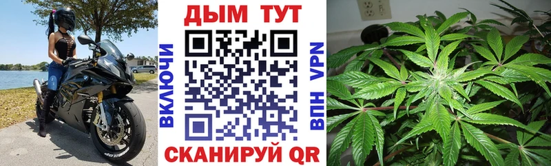 Шишки марихуана SATIVA & INDICA  Великий Новгород 